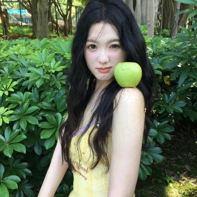 精灵守护者最终章